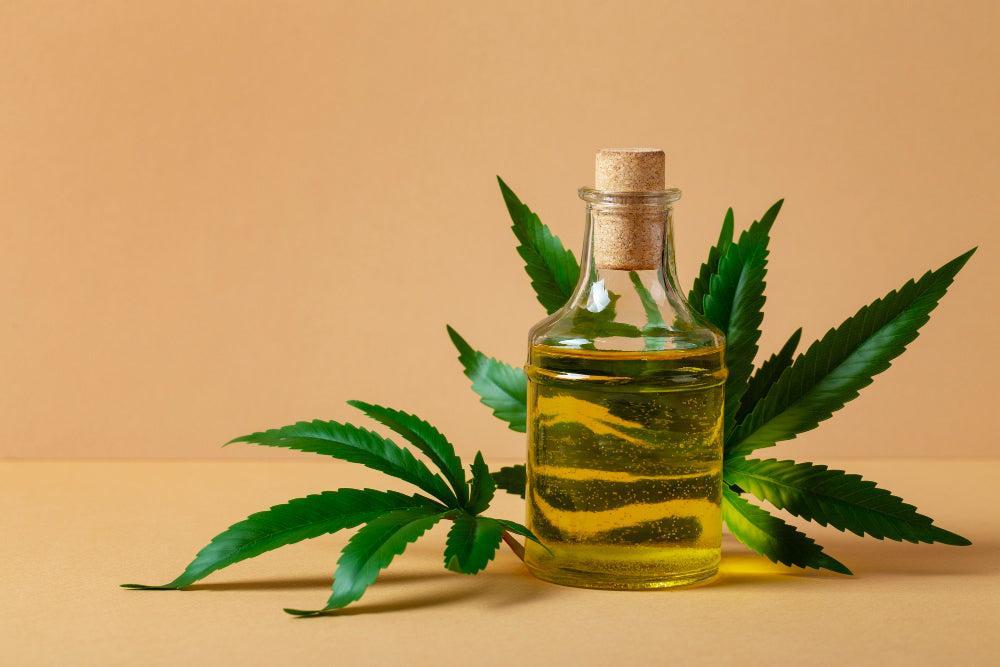 Cómo hacer y usar aceite de Cannabis casero-Canapuff