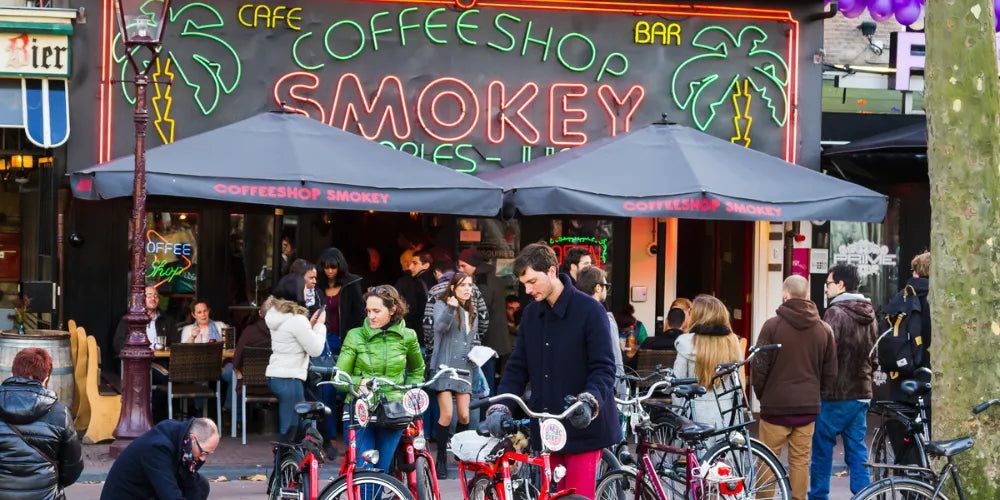 Mejores Coffeeshops en Ámsterdam 2024: Los mejores lugares para Cannabis-Canapuff