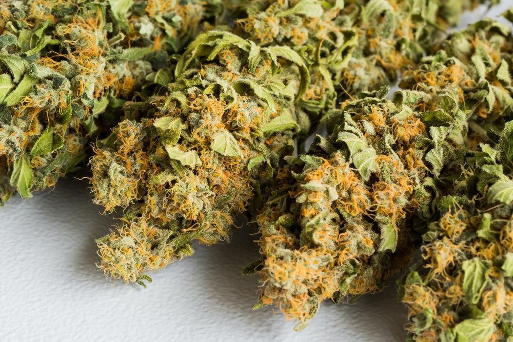 10-OH-HHC: Beneficios y seguridad del nuevo cannabinoide-Canapuff