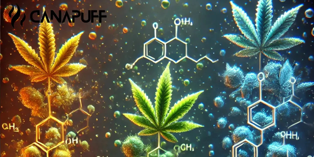 HHC vs HHCO vs HHCP: Potencia, Efectos y Química-Canapuff