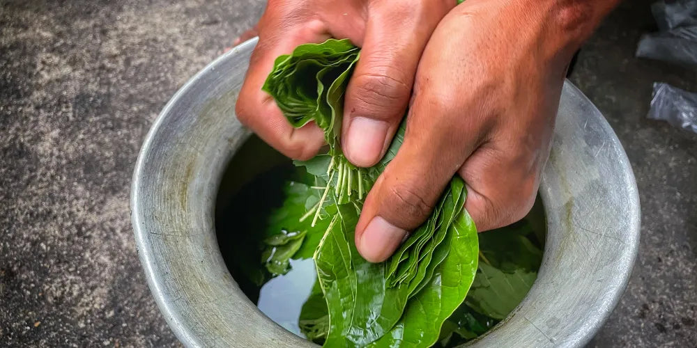 ¿Cuánto kratom tomar?