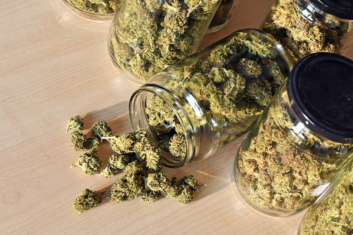 Tarros de cristal llenos de flor de cannabis seca sobre superficie de madera