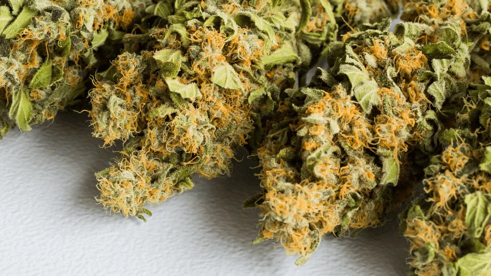 HHC PO el Futuro de la Innovación en Cannabis