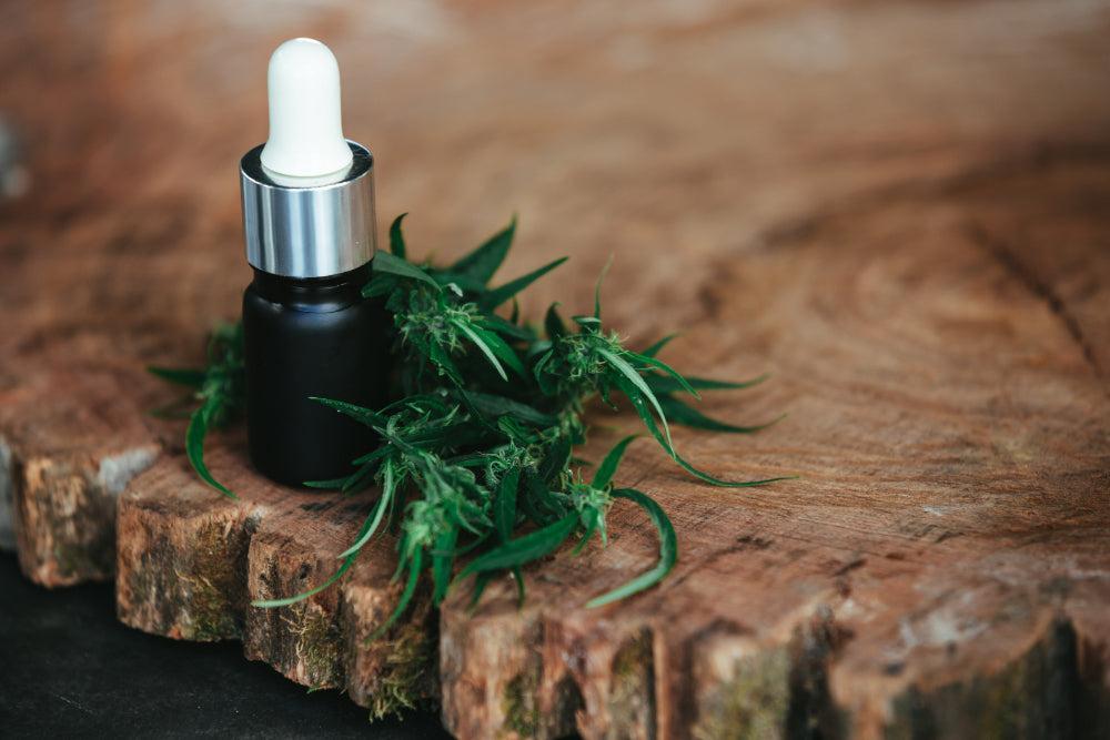 THCA: Beneficios, uso y mejores Strains de Cannabis-Canapuff