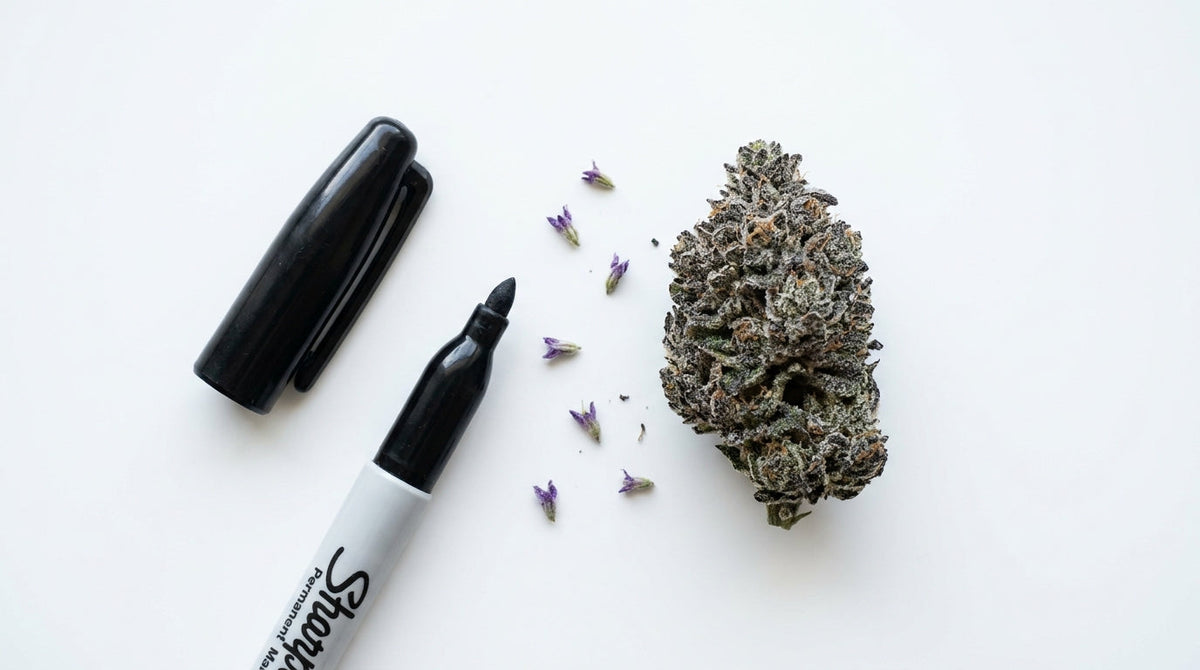 Mor alt tonlara sahip yoğun bir Permanent Marker Cannabis tomurcuğunun yanında açık bir permanent marker kalemi