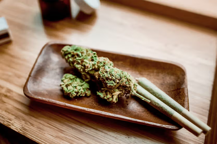 Flor de cannabis y joints preliados en una bandeja de madera