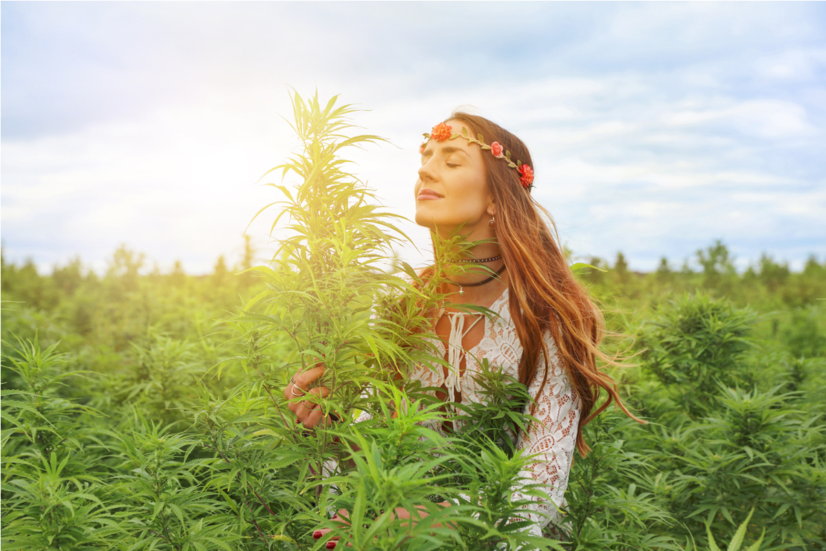 Mujer con corona de flores en un campo de cannabis en flor bajo un cielo azul