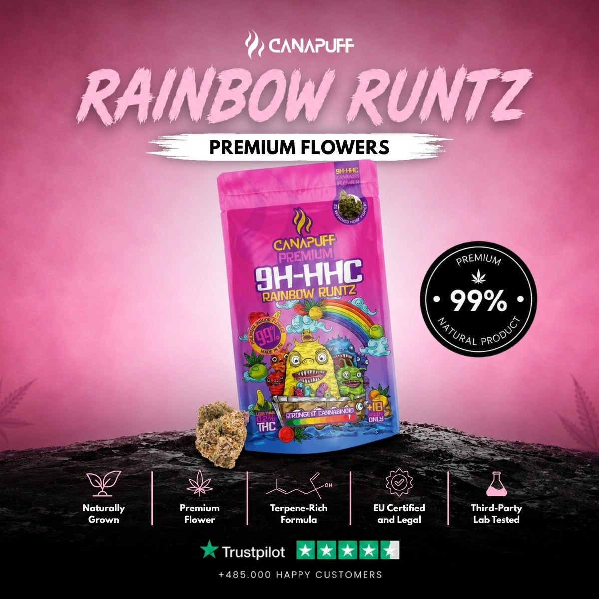 9H-HHC Flowers Rainbow Runtz 99% – flower buds, photo 2