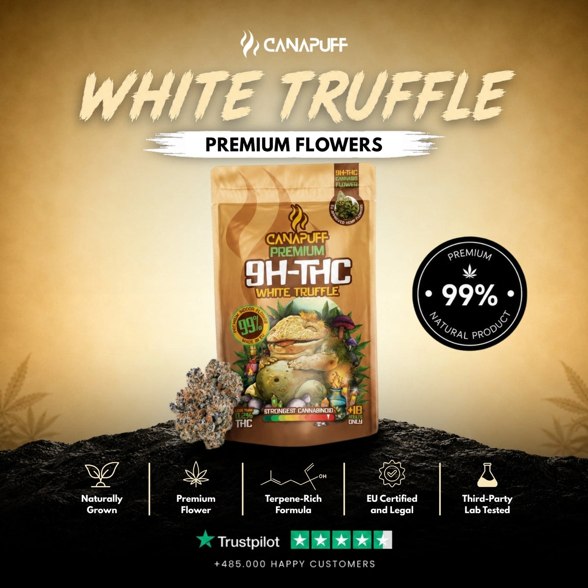 9H-THC Flowers White Truffle 99% – flower buds, photo 2