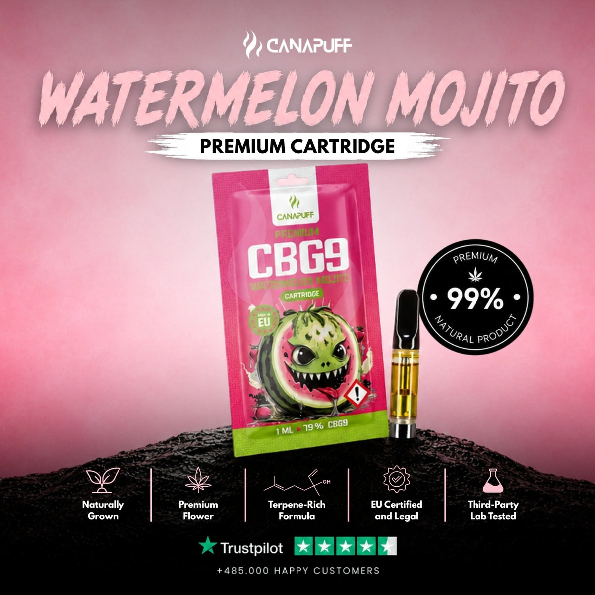 CBG9 Cartridge Watermelon Mojito 79% – vape cartridge, photo 2