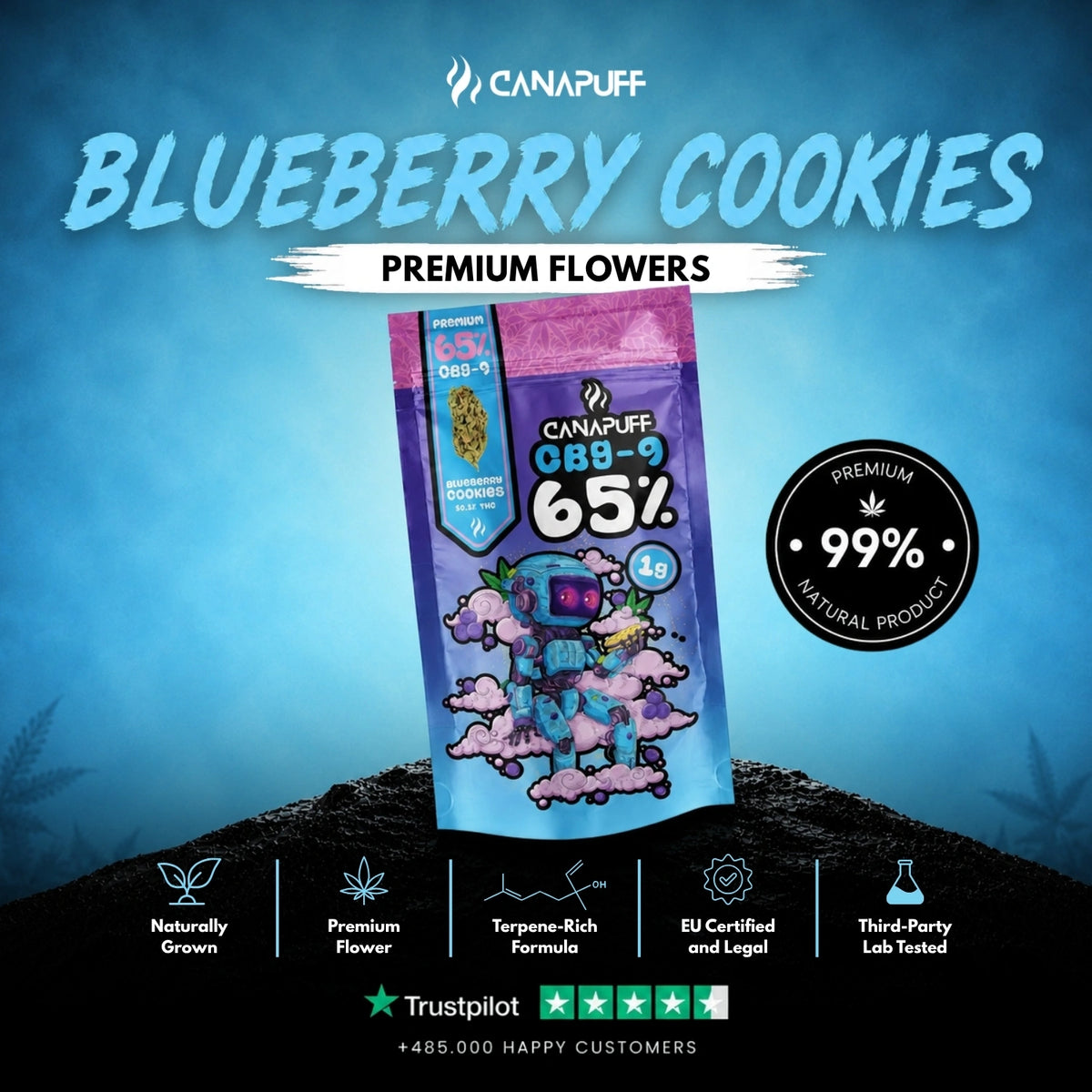 CBG9 Flowers Blueberry Cookie 65% – flower buds, photo 2