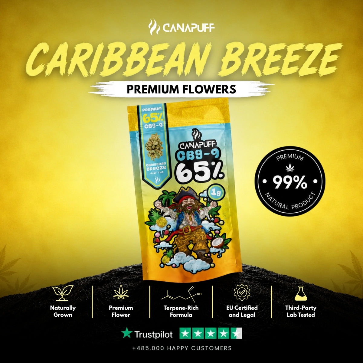 CBG9 Flowers Caribbean Breeze 65% – flower buds, photo 2