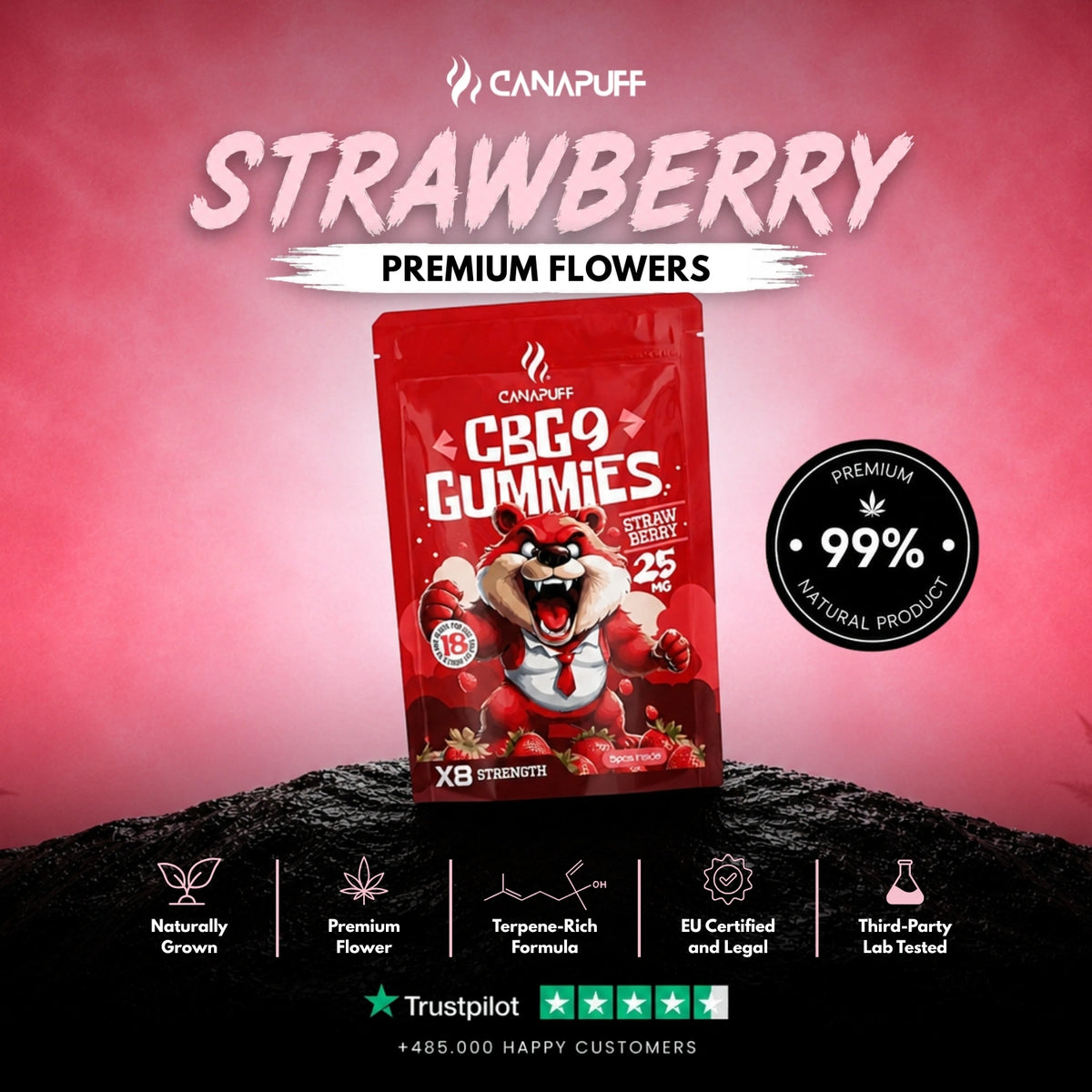 CBG9 Gummies Strawberry – gummies, photo 2