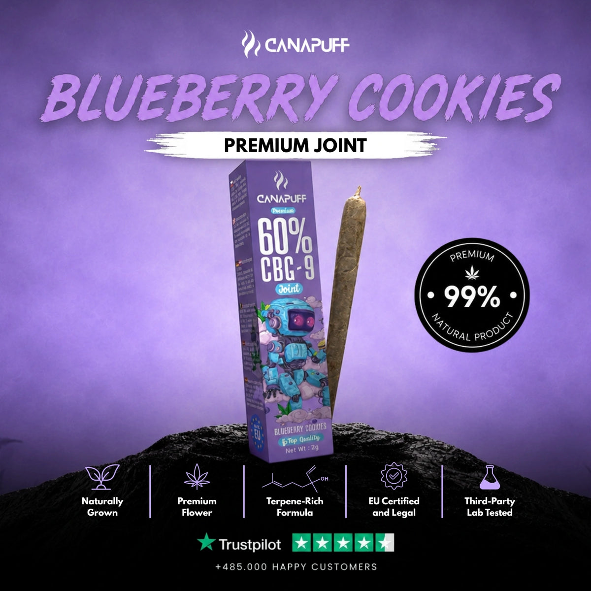 CBG9 Joint Blueberry Cookies 60% 2g – pre-rolled joint, photo 2