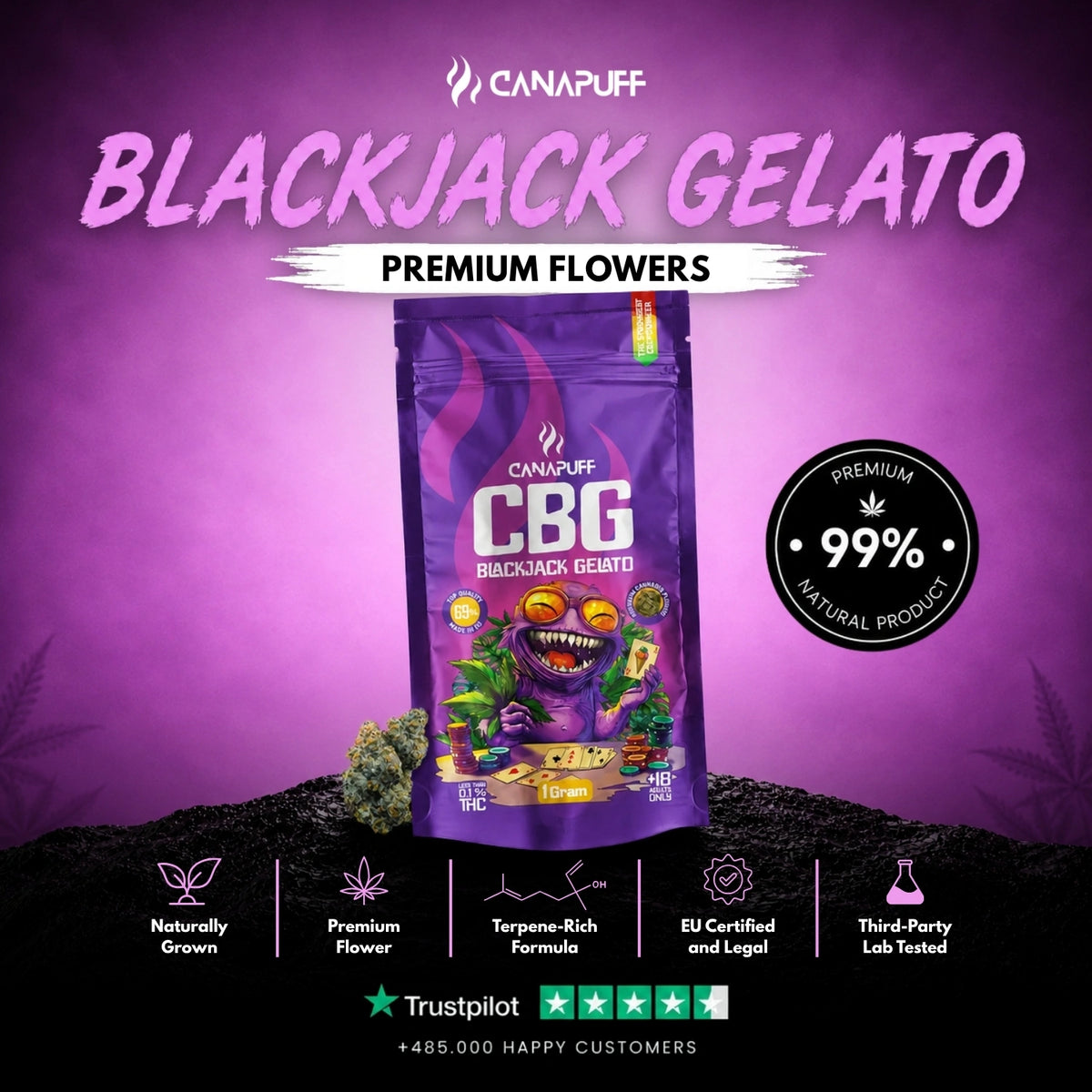 CBG Flowers Blackjack Gelato 69% – flower buds, photo 2