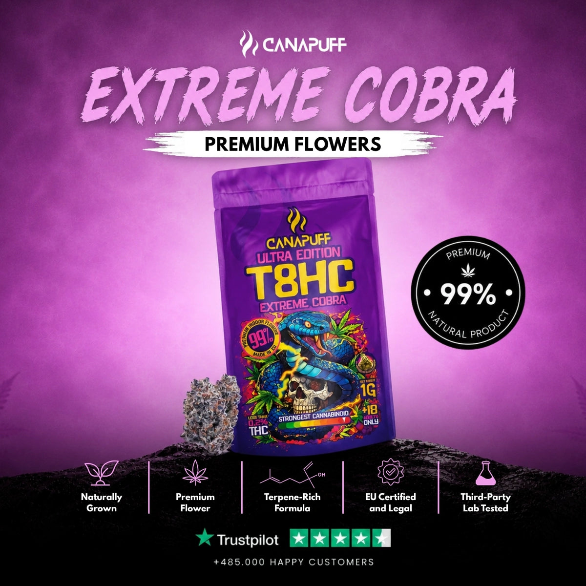 T8HC Flowers Extreme Cobra 99% – flower buds, photo 2