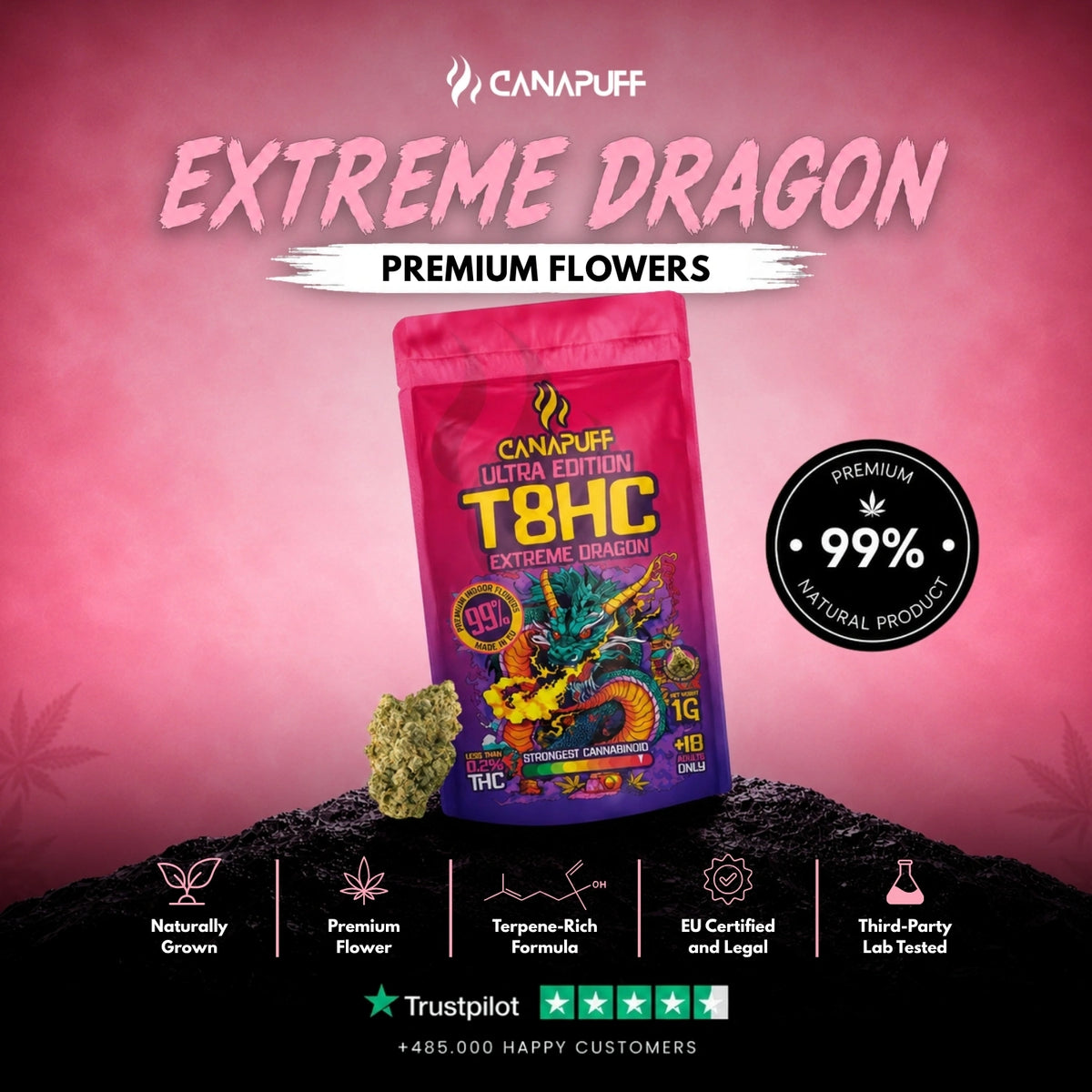 T8HC Flowers Extreme Dragon 99% – flower buds, photo 2