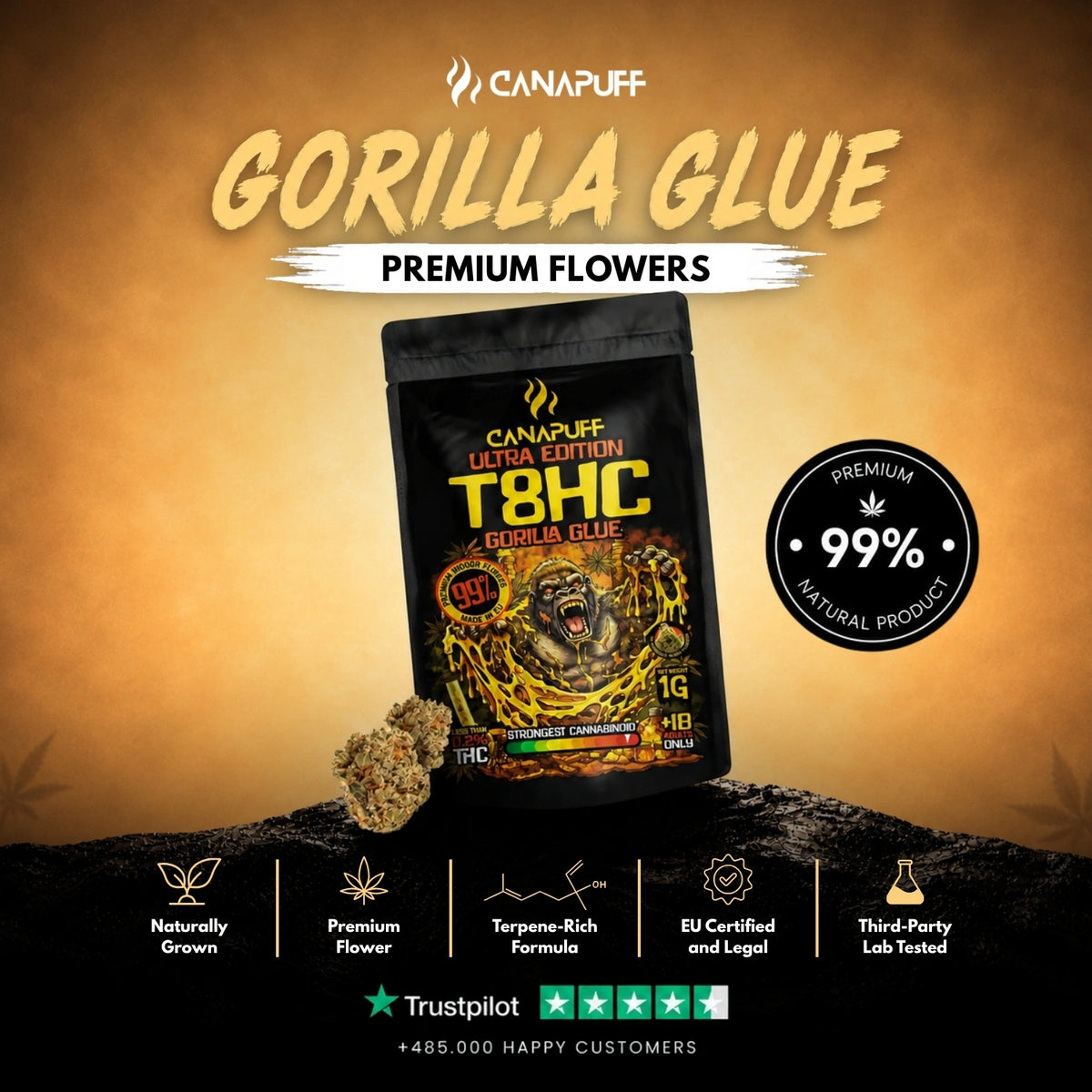 T8HC Flowers Gorilla Glue 99% – flower buds, photo 2