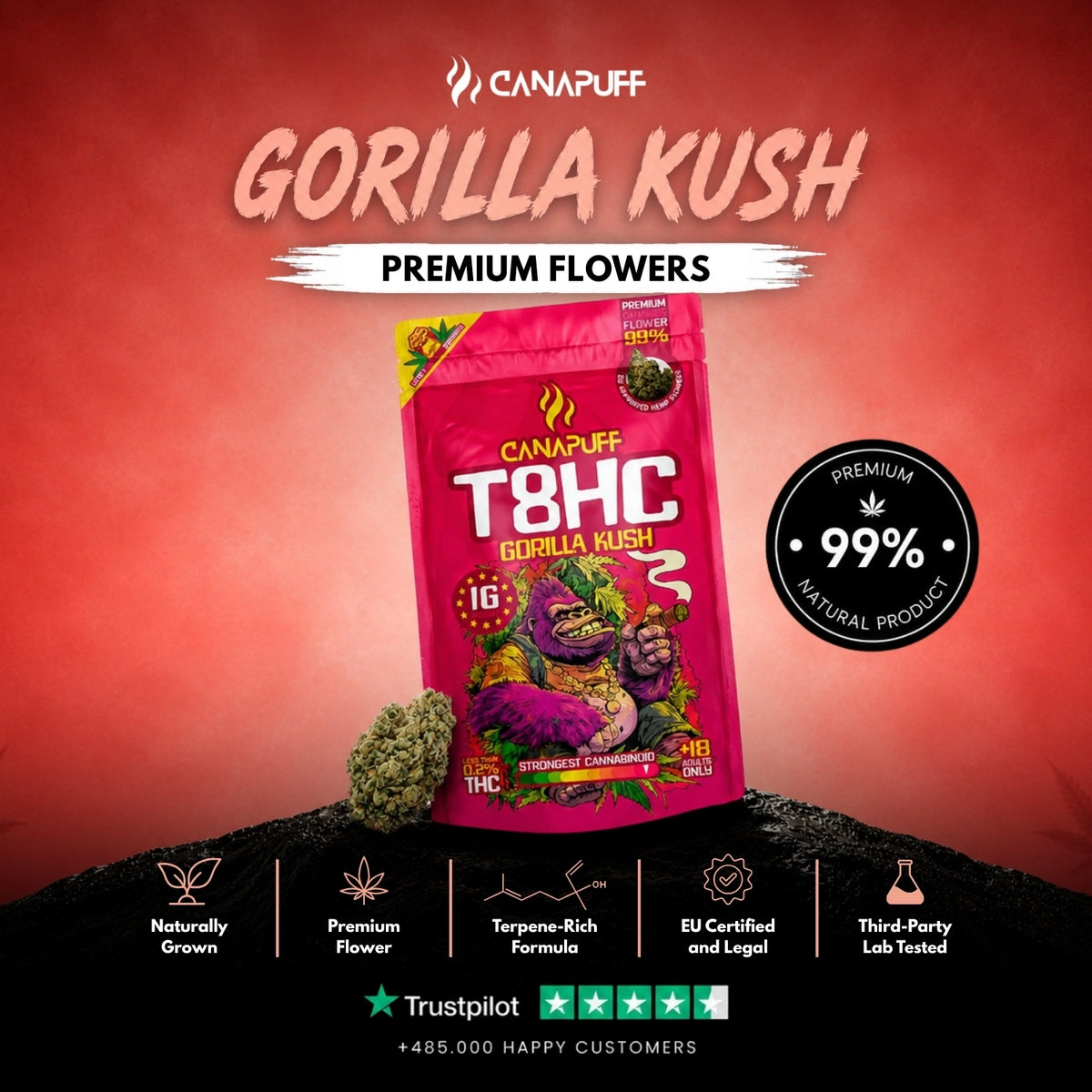 T8HC Flowers Gorilla Kush 99% – flower buds, photo 2