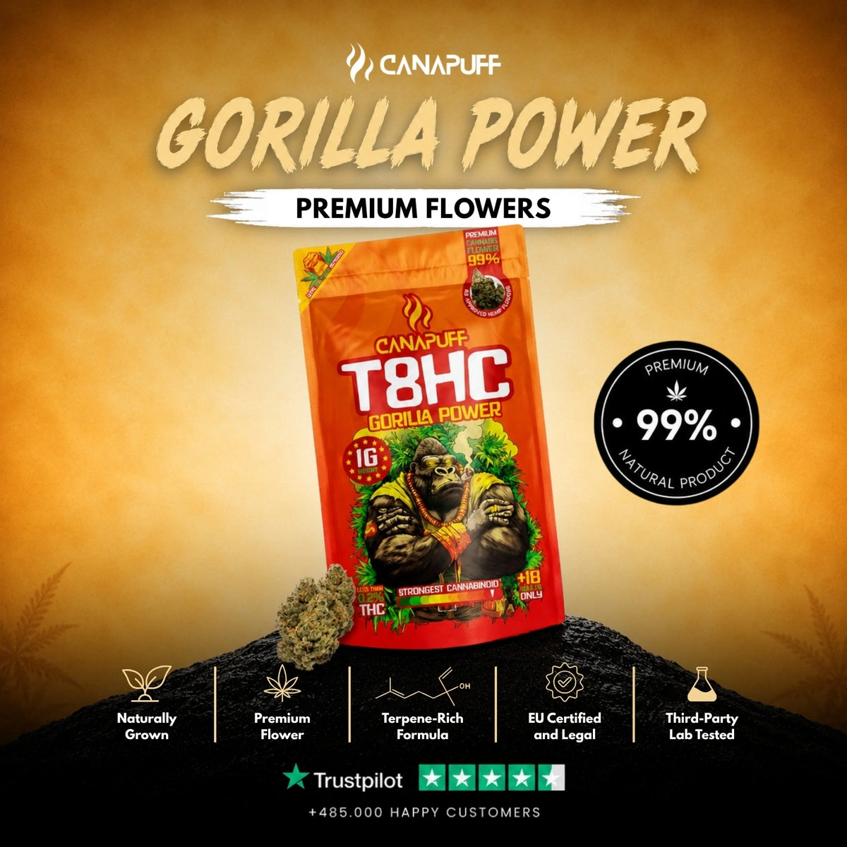 T8HC Flowers Gorilla Power 99% – flower buds, photo 2