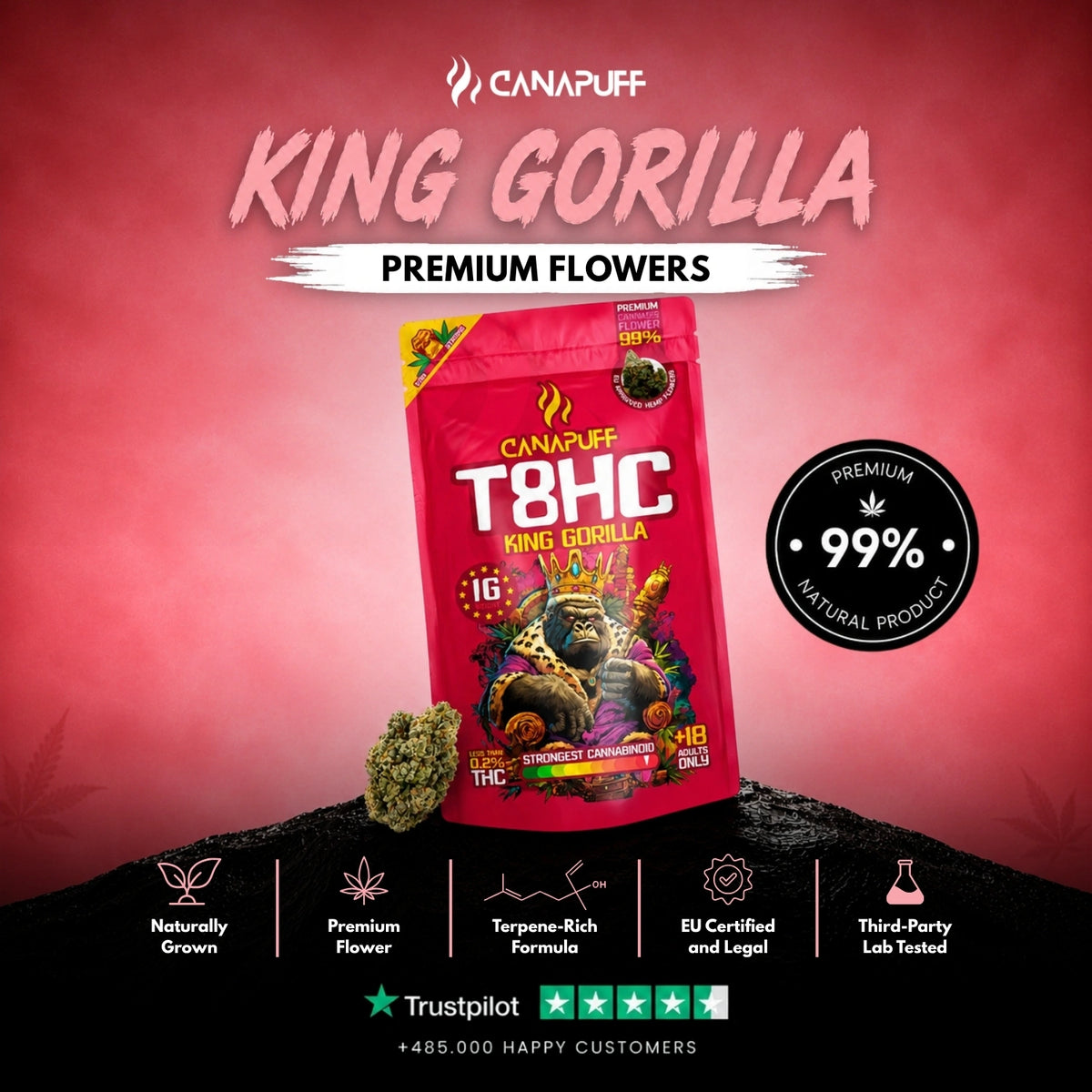 T8HC Flowers King Gorilla 99% – flower buds, photo 2