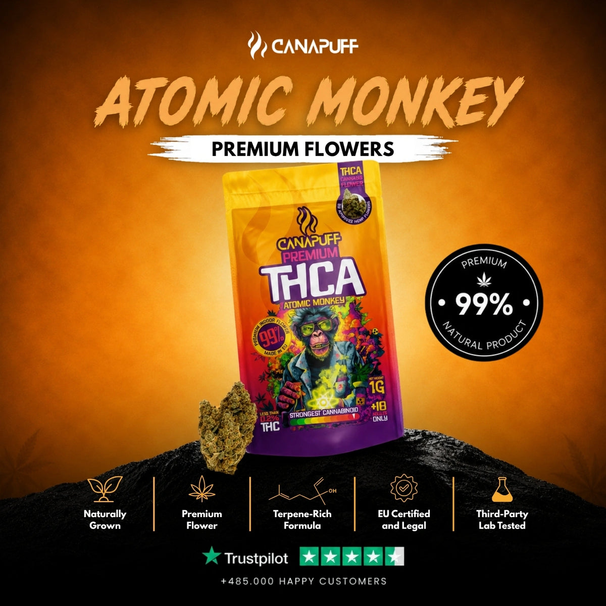 THCA Flowers Atomic Monkey 99% – flower buds, photo 2