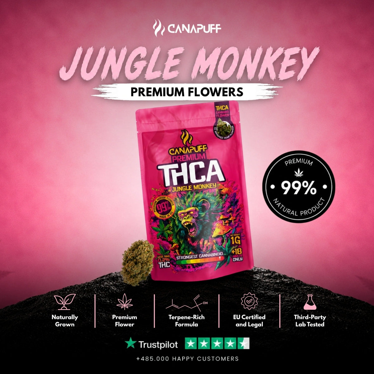 THCA Flowers Jungle Monkey 99% – flower buds, photo 2