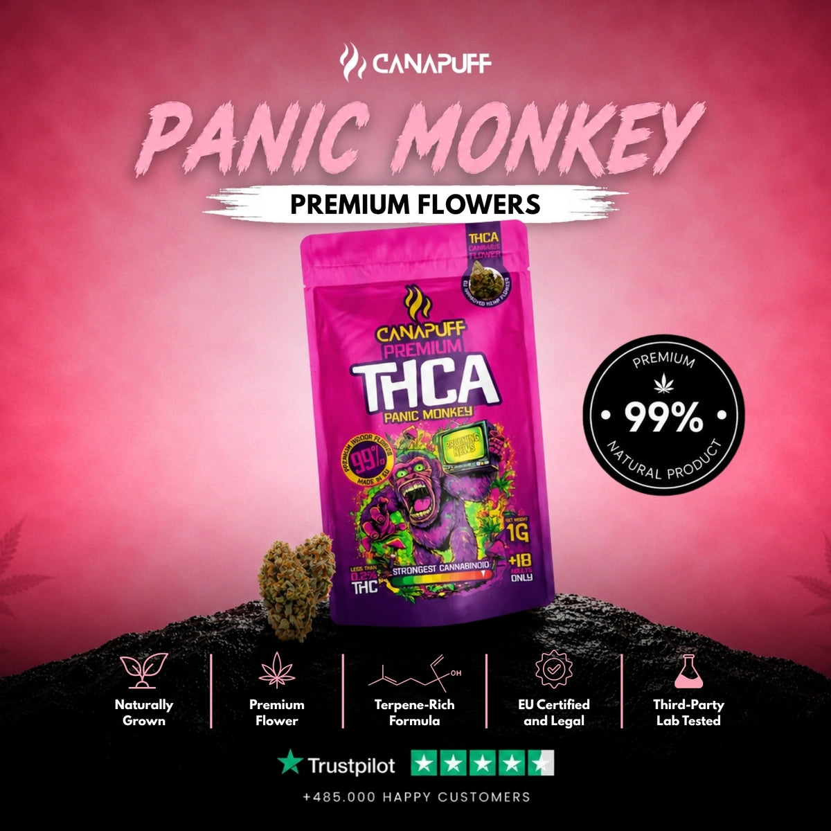 THCA Flowers Panic Monkey 99% – flower buds, photo 2