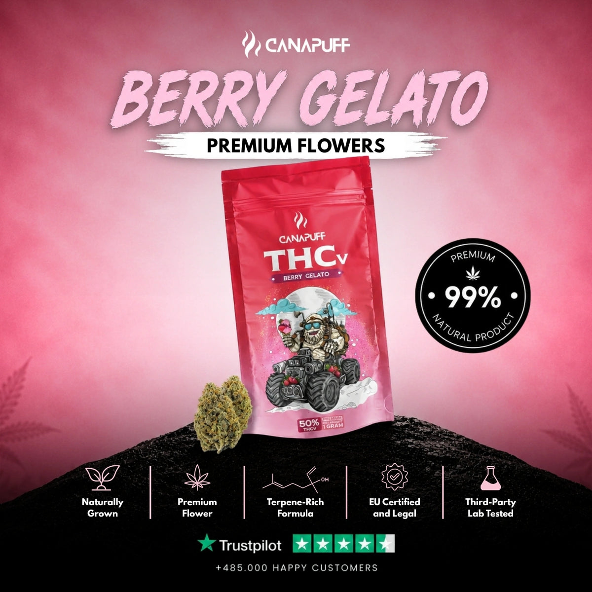 THCv Flowers Berry Gelato 50% – flower buds, photo 2