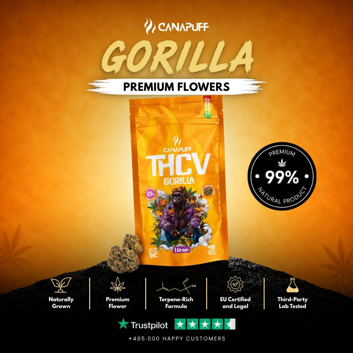 THCv Flowers Gorilla 69% – flower buds, photo 2