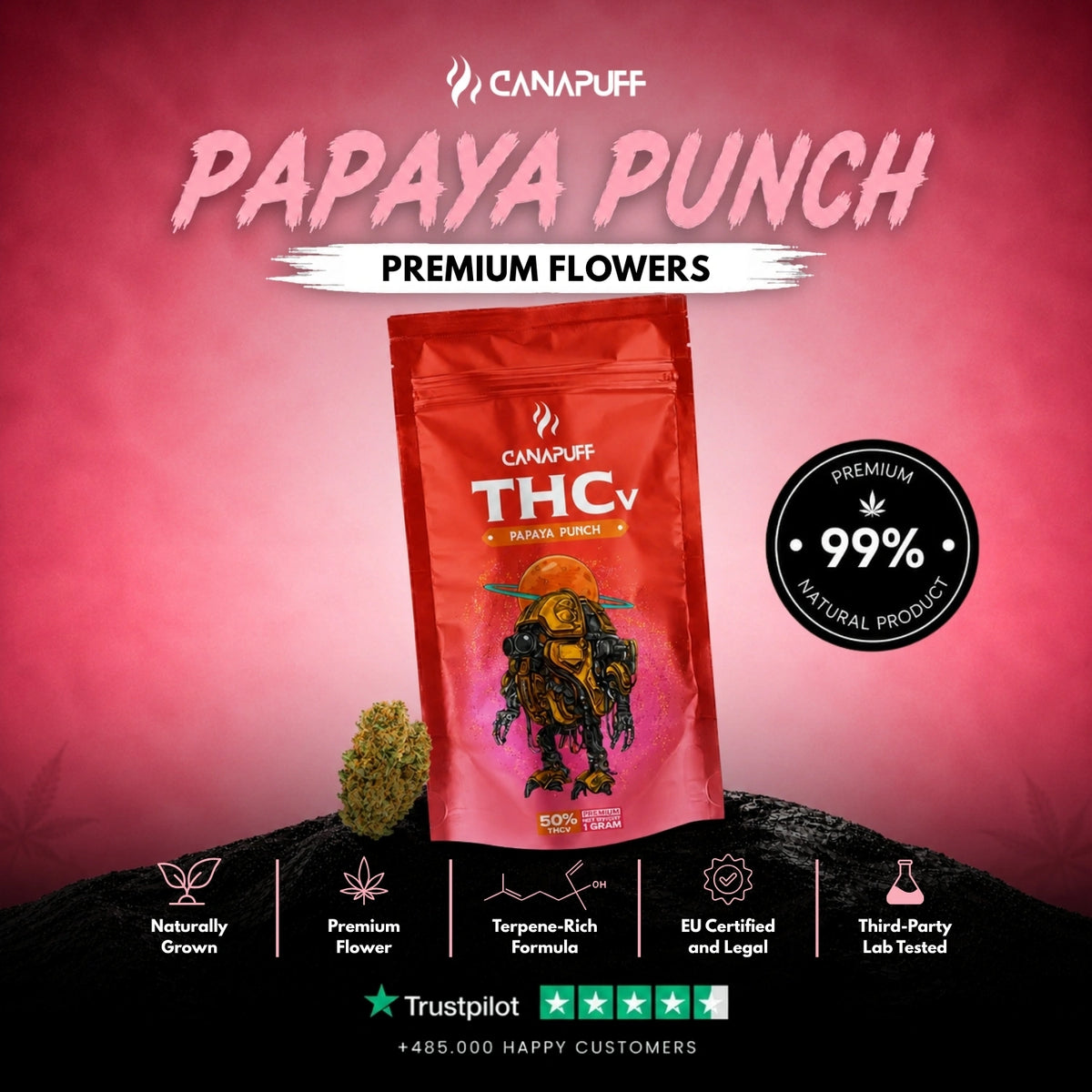 THCv Flowers Papaya Punch 50% – flower buds, photo 2