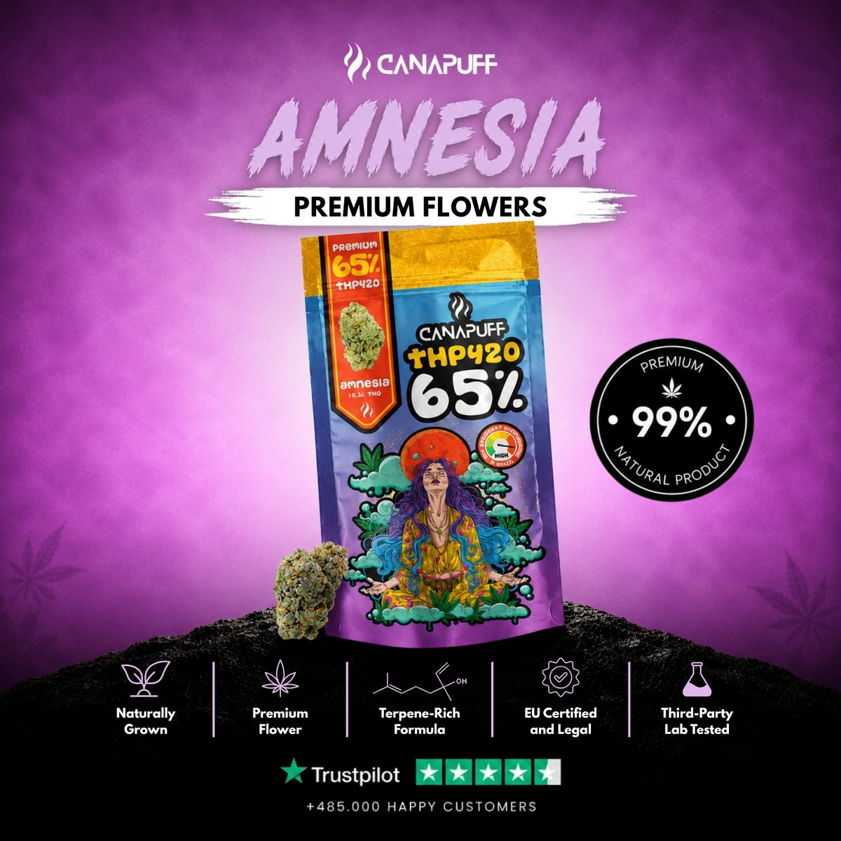 THP420 Flowers Amnesia 65% – flower buds, photo 2