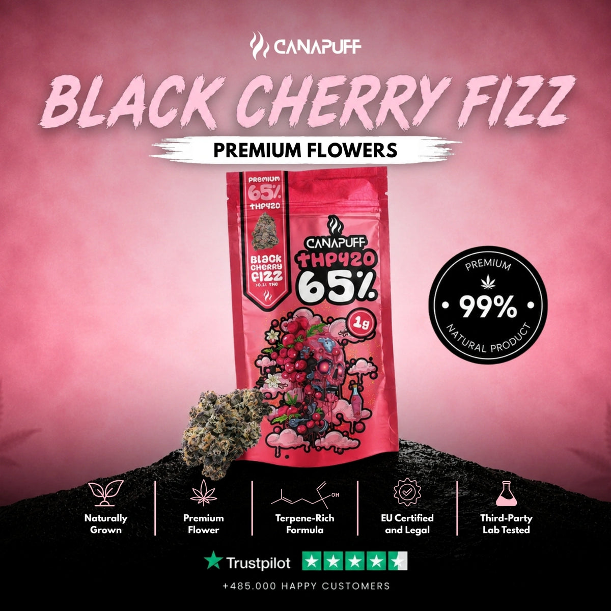 THP420 Flowers Black Cherry Fizz 65% – flower buds, photo 2