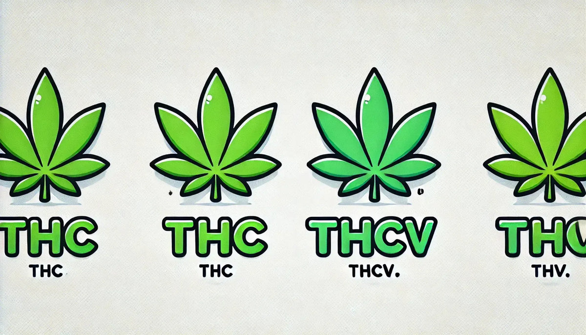 Letra “THC vs THCv” con hojas de Cannabis en estilo cómic.