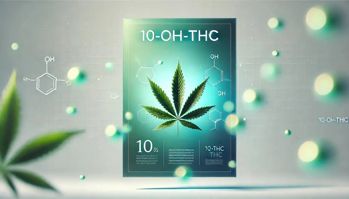 Explorando el 10-OH-THC: Un metabolito más suave con gran potencial-Canapuff