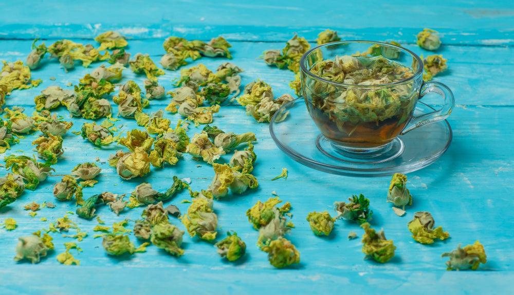 ¿Qué es Live Resin? Descubre extractos premium de Cannabis-Canapuff