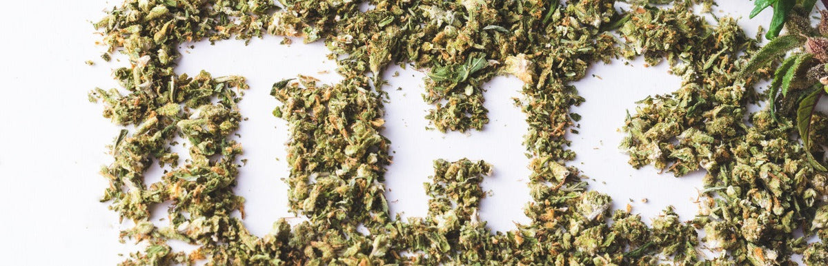 Flor de cannabis seca sobre fondo blanco con detalle de una hoja verde