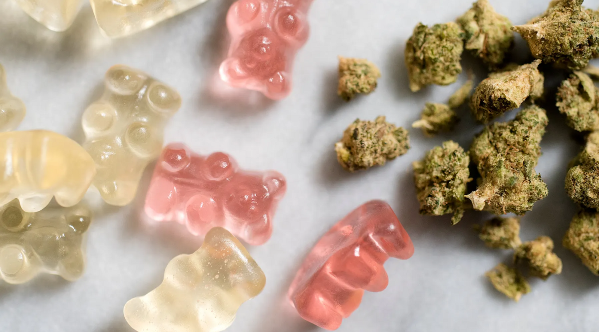 Ositos de gominola transparentes y rosas junto a cogollos de cannabis sobre superficie blanca