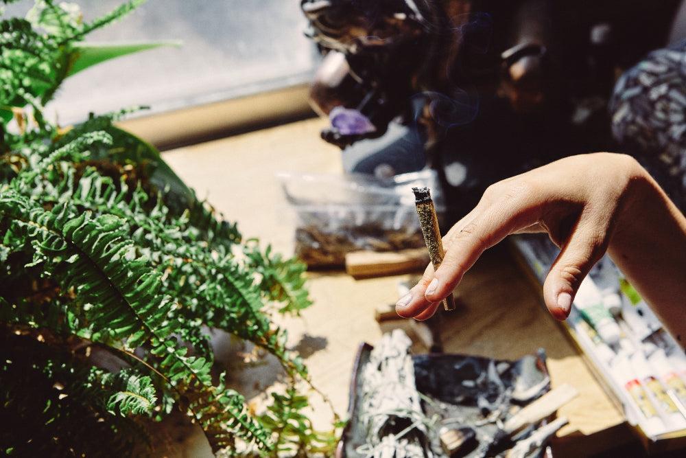 THCA: Cannabinoide no psicoactivo con beneficios para la salud-Canapuff