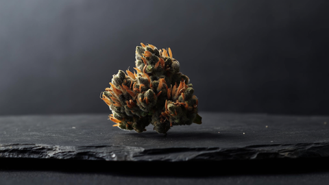 Cannabis legal en alemania: límites de posesión, clubes y qué sigue prohibido
