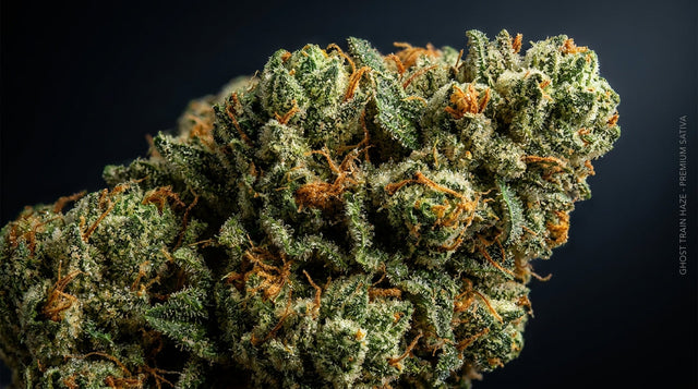 Guía de la cepa Ghost Train Haze — flor de cannabis sativa, terpenos y efectos