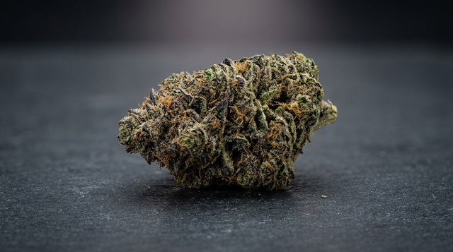 Cogollo escarchado de cannabis Gorilla Zkittlez con intensos tonos verdes y morados sobre superficie oscura