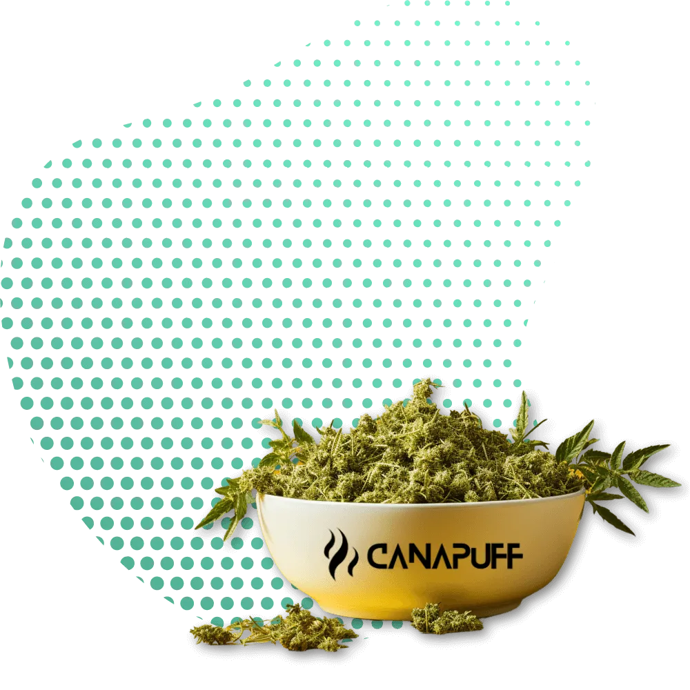 Canapuff Květy-Canapuff