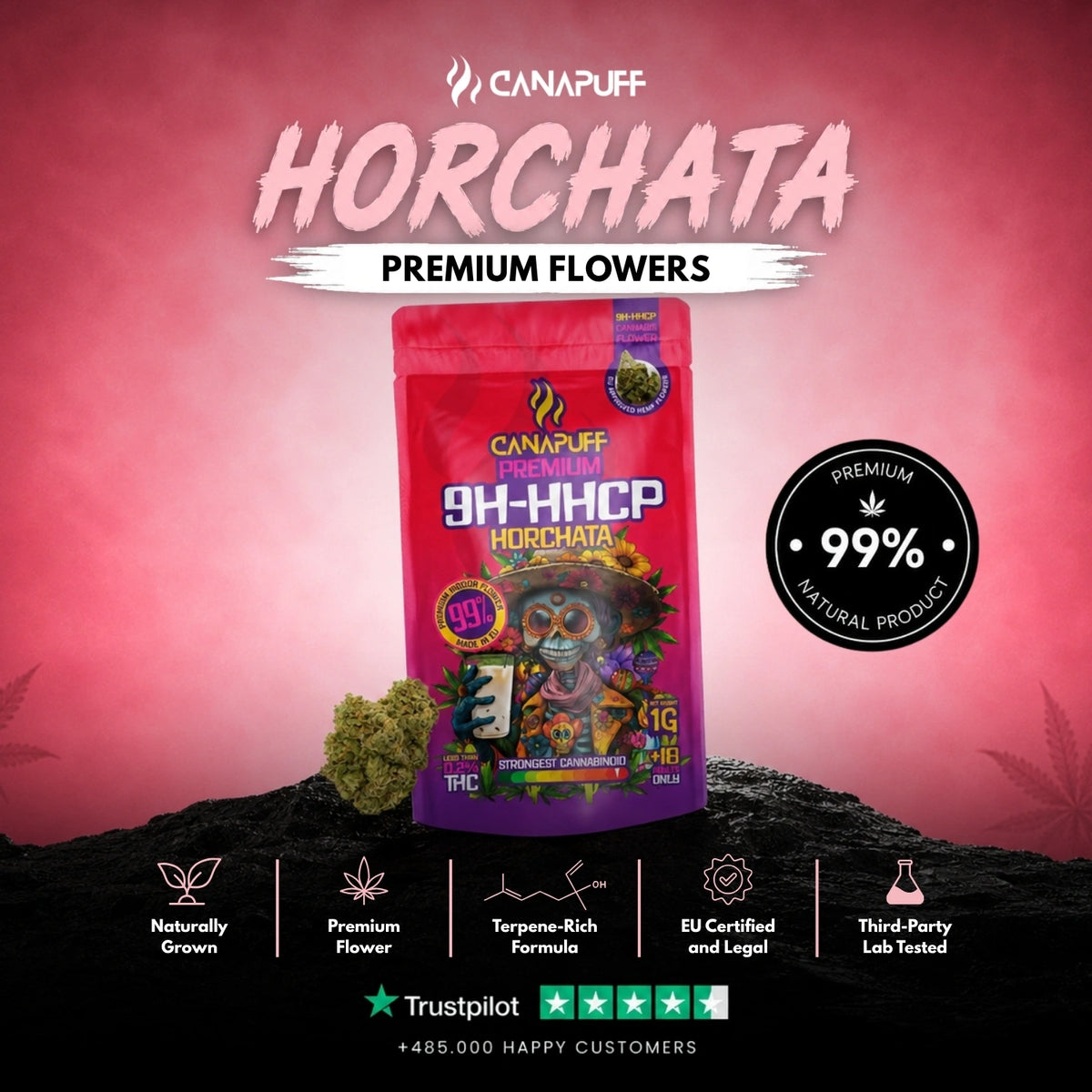 9H-HHCP Flowers Horchata 99% – flower buds, photo 2