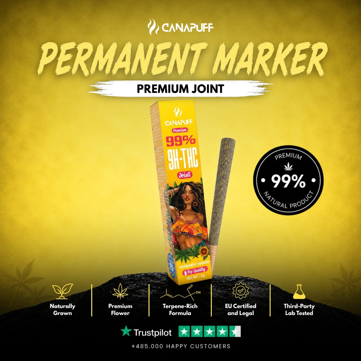 9H-THC Joint Permanent Marker 99% – pre-rolled joint, photo 2
