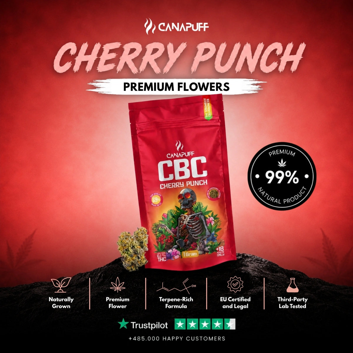 CBC Flowers Cherry Punch 69% – flower buds, photo 2