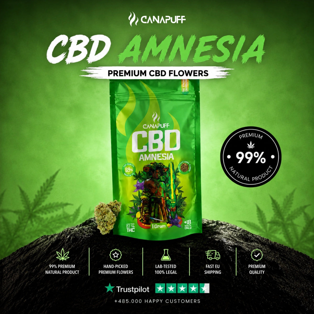 CBD Flowers Amnesia 69% – flower buds, photo 2