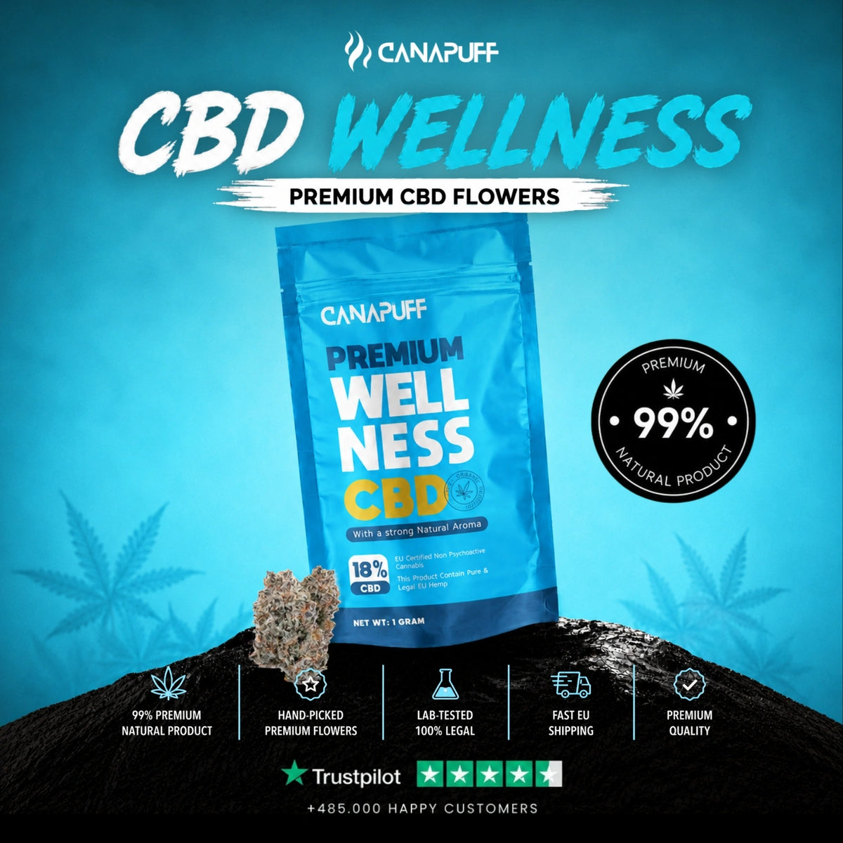 CBD Flowers Wellness 18% – flower buds, photo 2