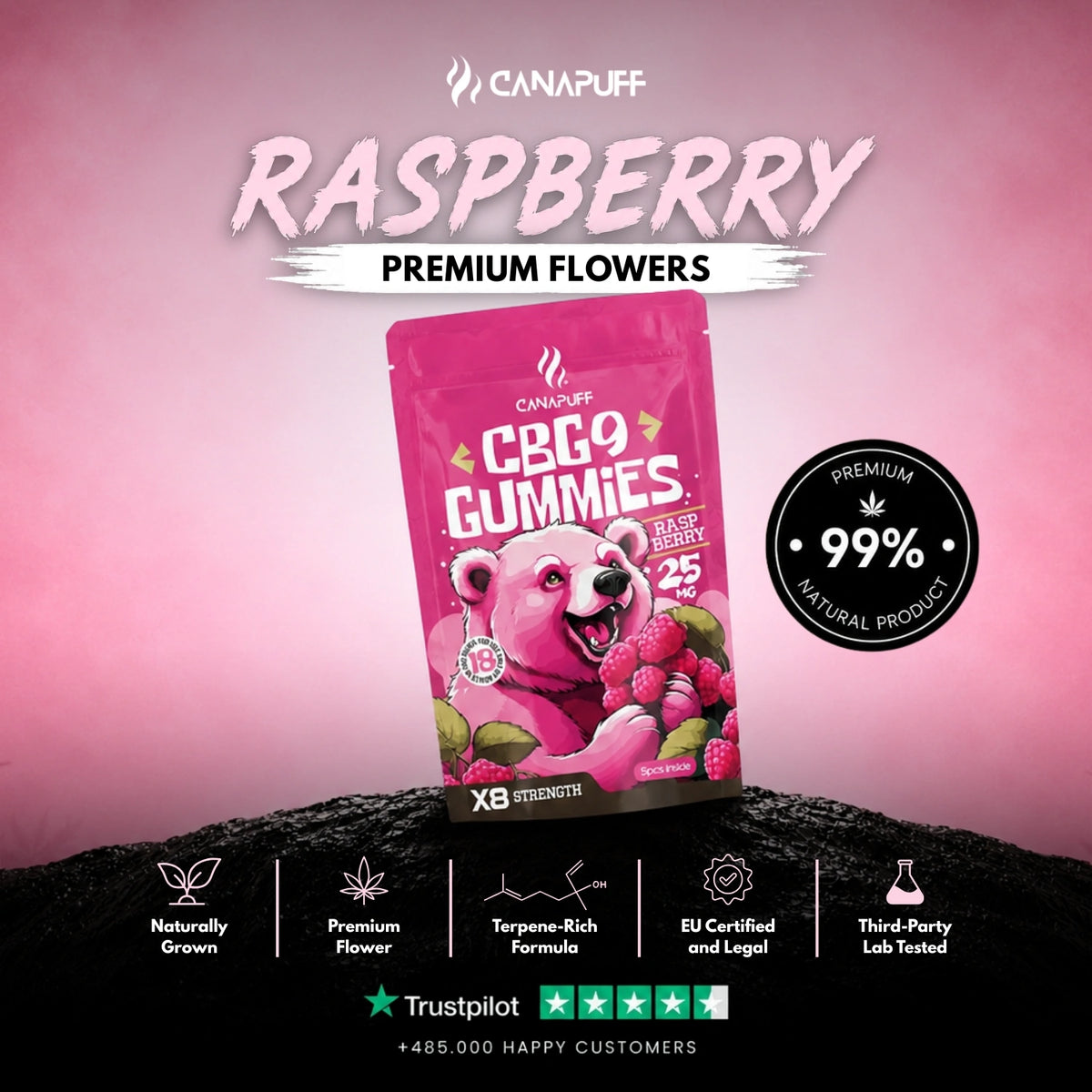 CBG9 Gummies Raspberry – gummies, photo 2