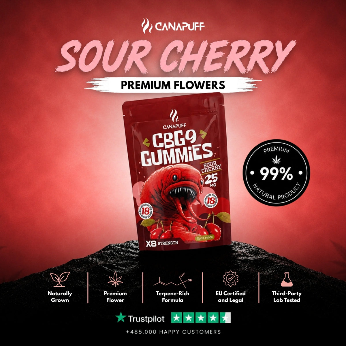 CBG9 Gummies Sour Cherry – gummies, photo 2